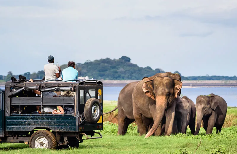 Discover Sri Lanka 18 LS B3 Sri lanka s national parks