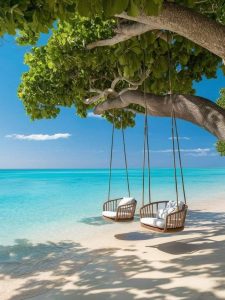 Gallery 21 download 6