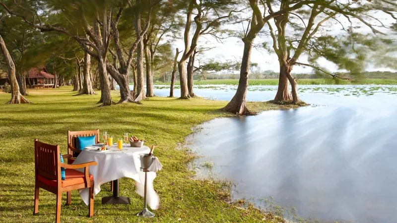 Gem of the Dream Tour 10 habarana village by cinnamon out