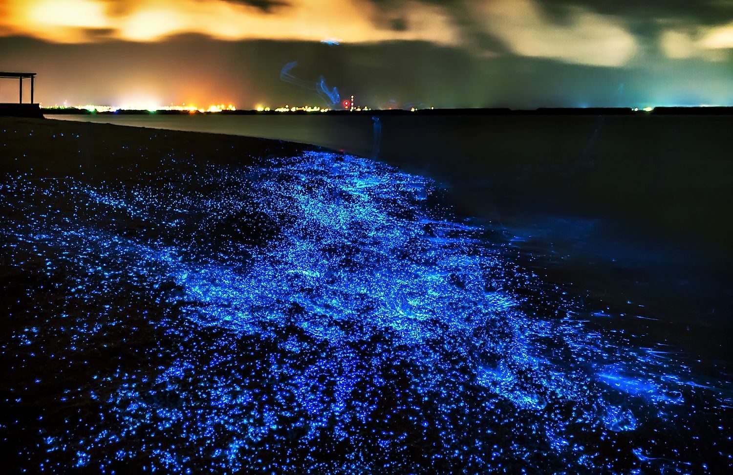 Home 14 Vaadhoo Island (Sea of Stars)