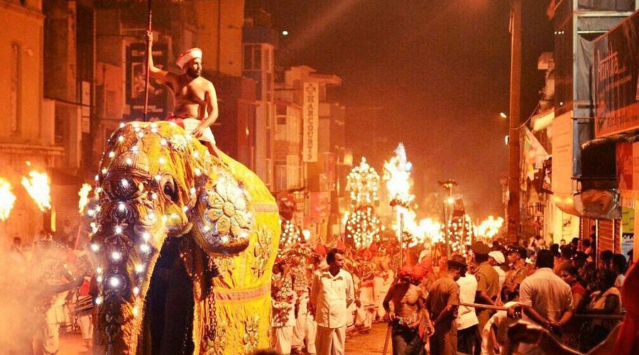 Top 5 Cultural Experiences in Sri Lanka 1 Traditional Sri Lankan Kandy Esala Perahera festival