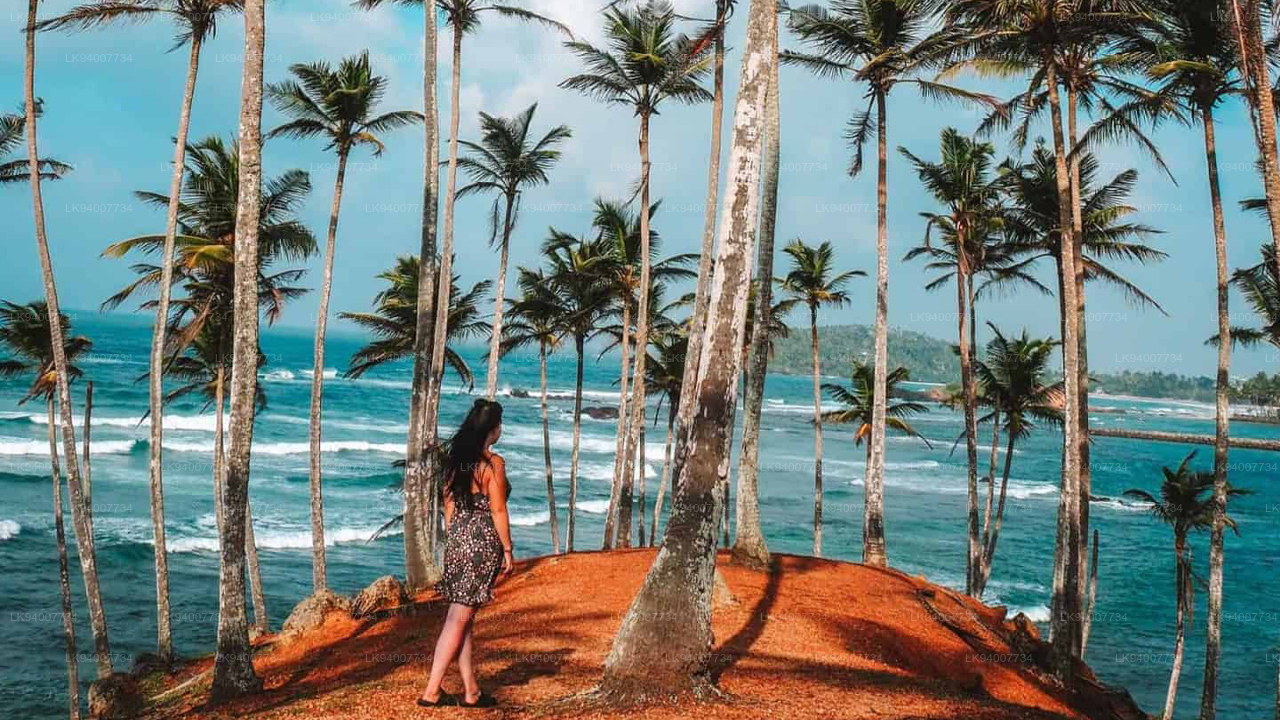 Home 24 Mirissa Beach